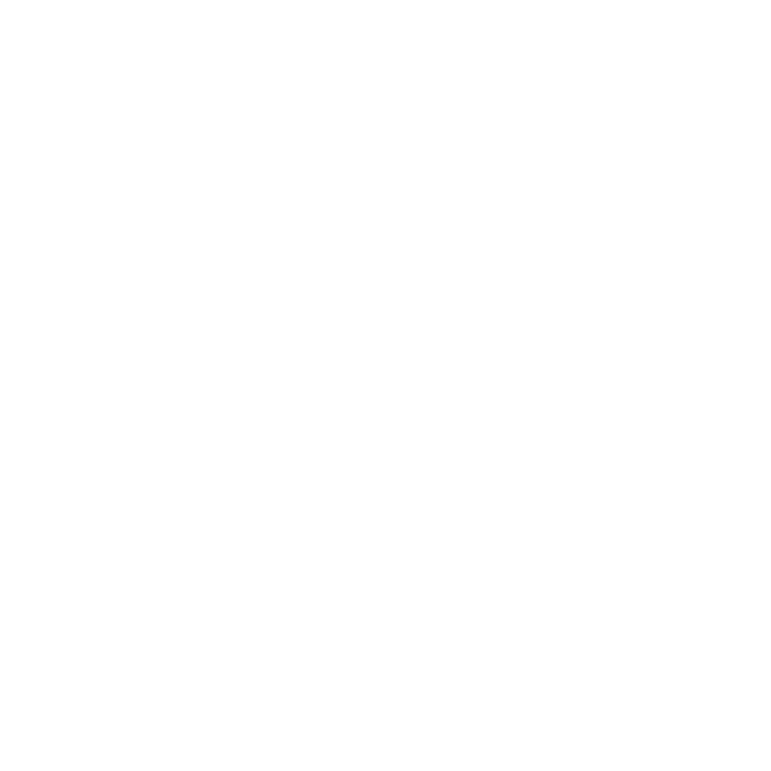 SZST logo